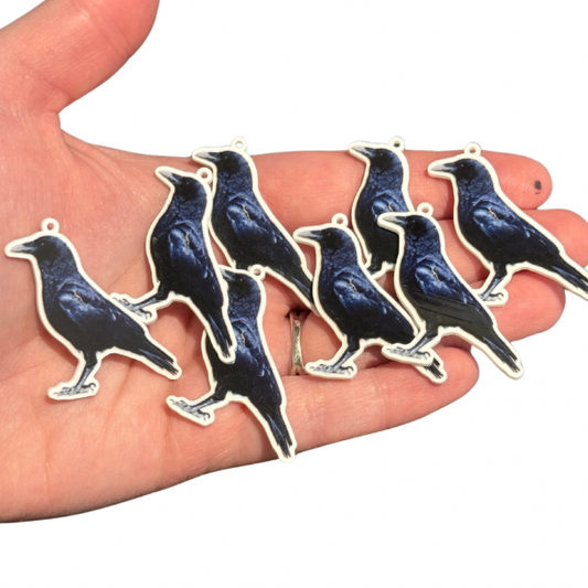 8pcs Black Crow Raven charms